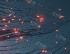 VJ运动图形动态动画152—布兰德（BL）工程源文件