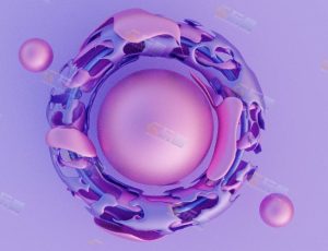 VJ运动图形动态动画194—布兰德（BL）工程源文件