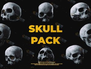 人类头骨Blender资产库