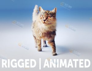 长毛猫三维CG模型