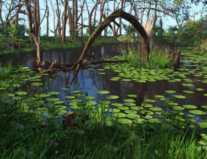 荒木沼泽林—布兰德（BL）工程源文件