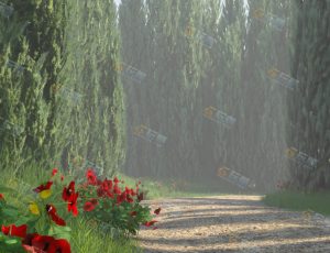 树林小道—布兰德（BL）工程源文件