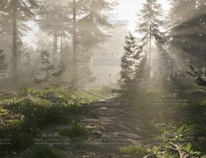 晨光树林—布兰德（BL）工程源文件