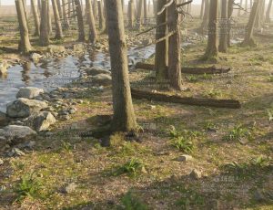 灌木小溪流林地—布兰德（BL）工程源文件