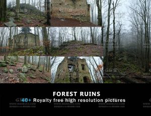 40+森林遗迹照片