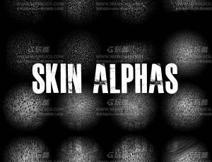 Zbrush皮肤阿尔法笔刷