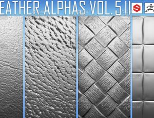 20+ Alphas图案笔刷Vol.5 (ZBrush, Substance, 2K)