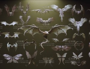 33 个角色和生物翅膀