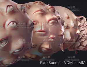 Zbrush – 面部注塑机 + VDM 捆绑包