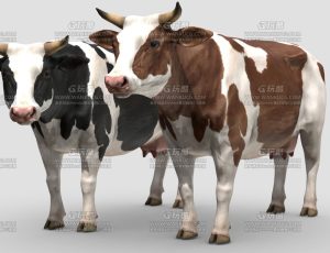 奶牛模型带动画—Blend模型
