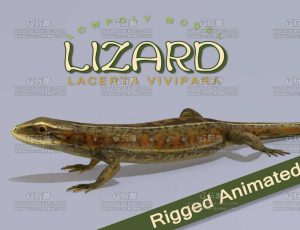 狗婆蛇蜥蜴带动画Blend模型