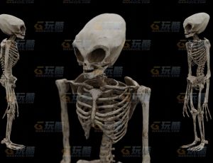 外星人骨骼模型Blend模型