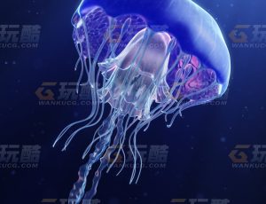 带动画逼真唯美水母Blend模型