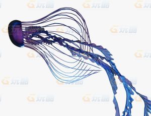 带动画长形带状水母Blend模型