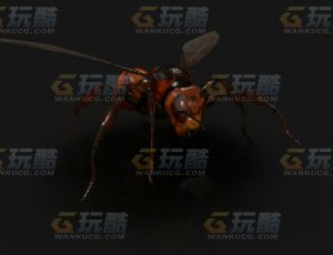 大飞蚁Blend模型