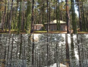 冬季和夏季的松树Blend模型