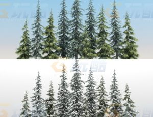 高精度雪松树Blend模型