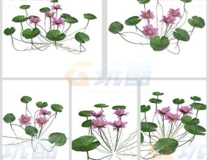 莲花荷花Blend模型