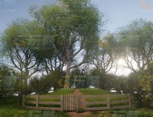 清晨大树下的秋千草地Blend项目源文件