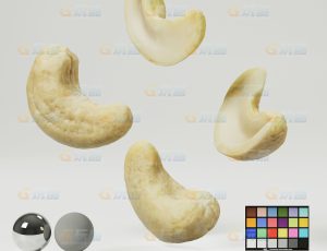 腰果（高精度）CG模型