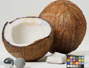 椰子（高精度）CG模型