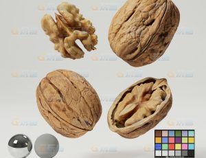 核桃（高精度）CG模型