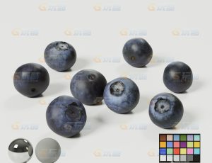 蓝莓（高精度）CG模型