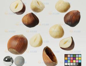 榛子（高精度）CG模型