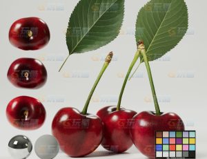 车厘子（高精度）CG模型