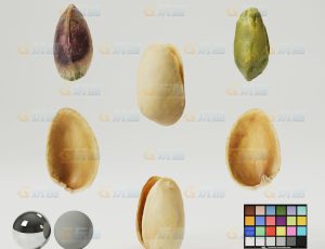 开心果（高精度）CG模型