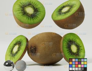 猕猴桃奇异果（高精度）CG模型