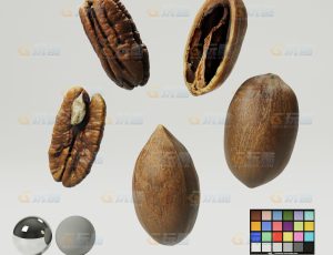 山核桃 胡桃（高精度）CG模型