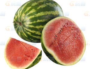 西瓜（高精度）Blend模型