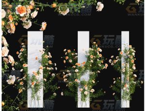 玫瑰花Blend模型