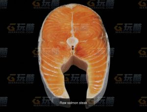 新鲜三文鱼肉Blend模型