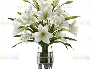 白百合花Blend模型