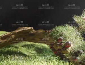 植物花草生长动画Blend项目源文件