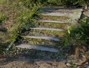 高精度扫描台阶Blend模型