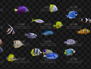 带循环动画的21条海洋鱼Blend模型