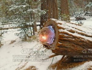 C4D结合VFX实拍制作诡秘的木灌之眼C4D项目源文件