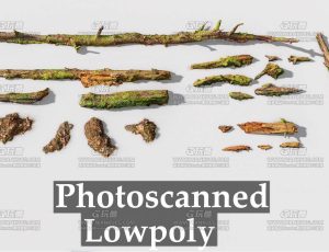 扫描植物树木Blend资产库