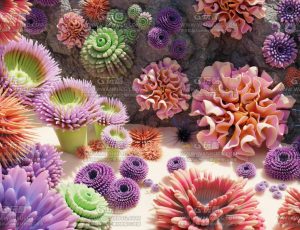 深海海葵植物Blend资产库