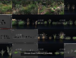 植物草模型包Blend资产库