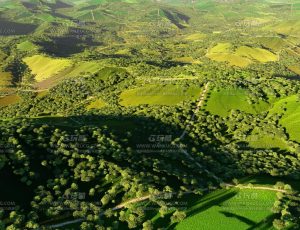 大型山谷丘陵场景Blend项目源文件