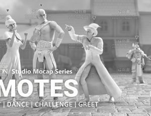 战斗跳舞问候胜利失败嘲讽动作动画包