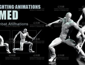 战斗格斗动作动画包
