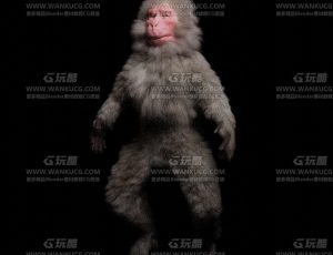 日本猴子Blend模型