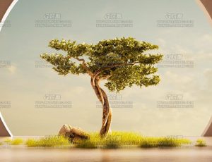 C4D工程源文件—简约图形与树