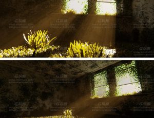 长满杂草的房间Blend项目源文件