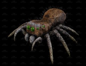 毛蜘蛛Blend模型